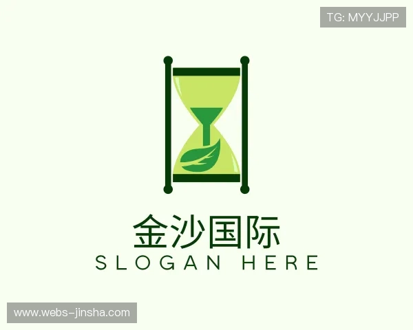 解读金沙国际公司